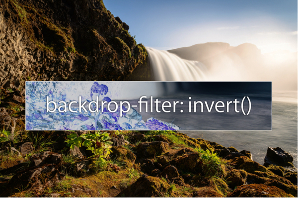 How to Invert Color using CSS Filter 