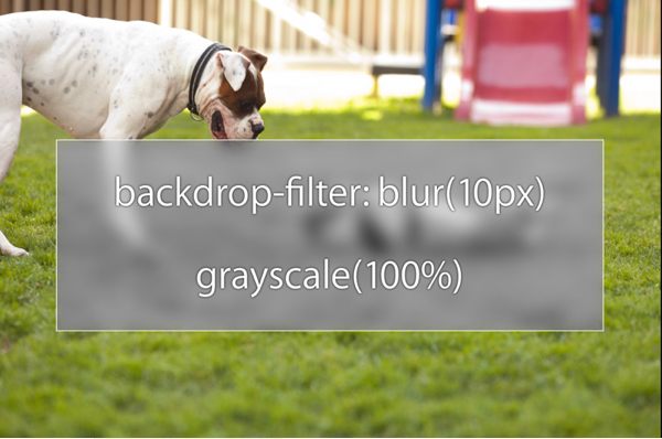 Introducing Backdrop Filters | Webkit