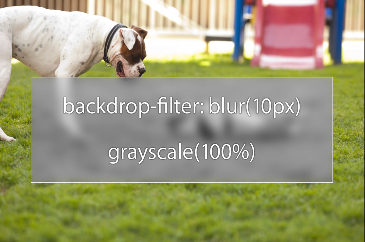 Introducing Backdrop Filters Kit