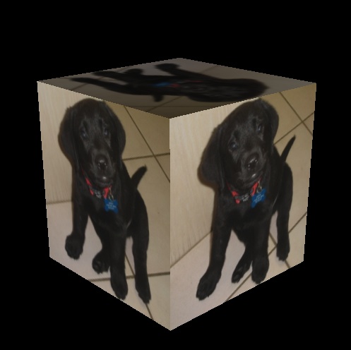 Image of Spinning Box