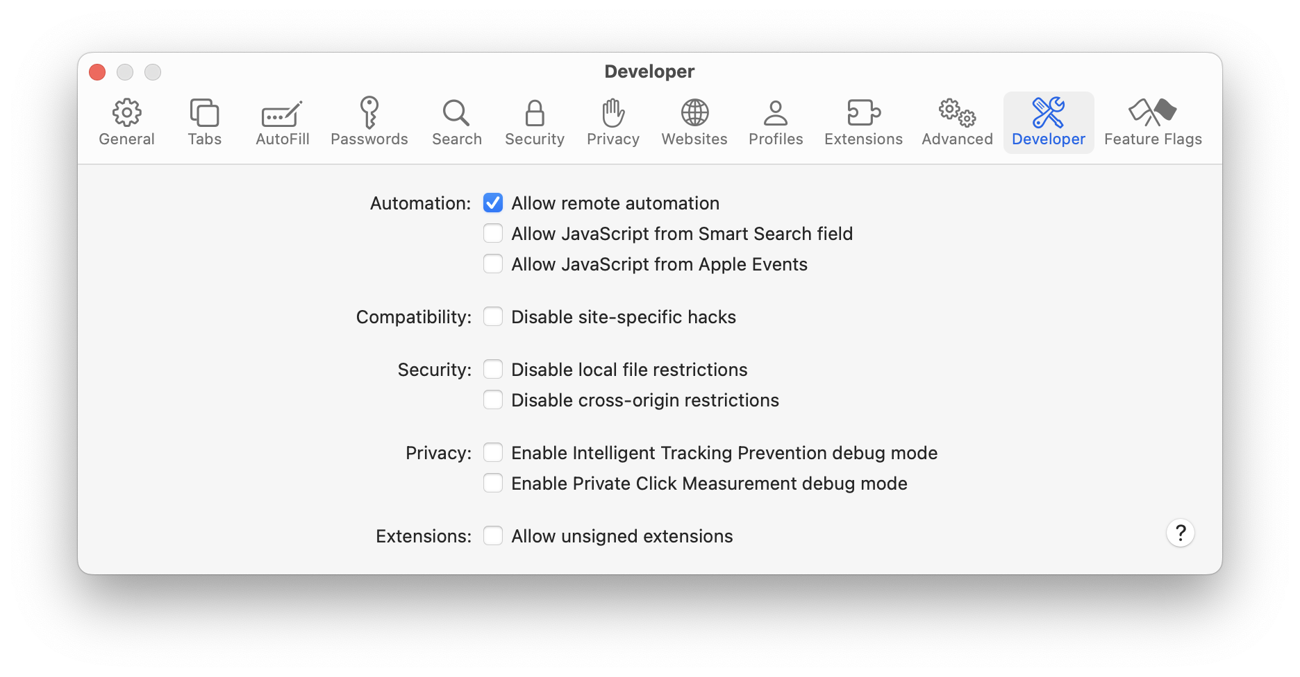 the new Safari Developer settings window, listing what can be toggled